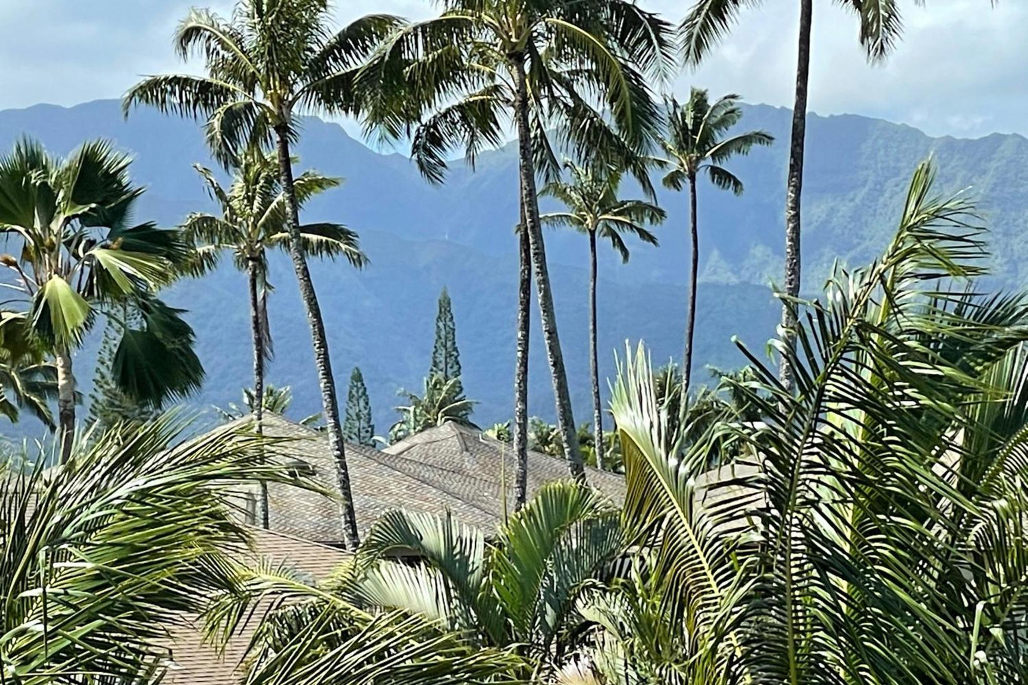 View House Tower! Villa Princeville Exterior foto